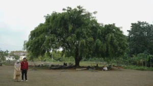 Still (3) - Kabar dari Kubur